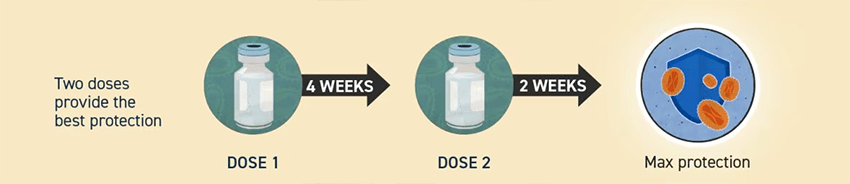 cdc image mpox two doses